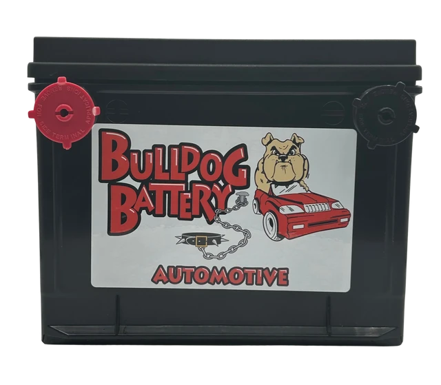 Bulldog Battery Group 75 550 CCA Flooded Lead Acid Automotive Battery - 5 Year Warranty