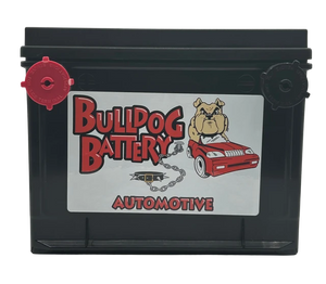 Bulldog Battery Group 75 550 CCA Flooded Lead Acid Automotive Battery - 5 Year Warranty