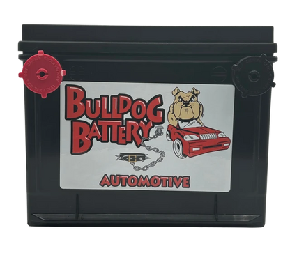 Bulldog Battery Group 75 550 CCA Flooded Lead Acid Automotive Battery - 5 Year Warranty