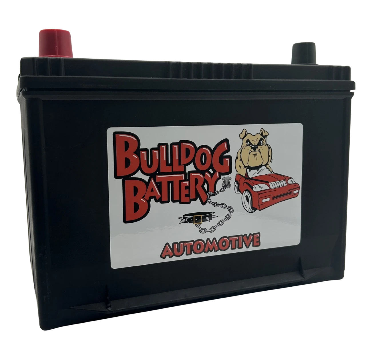 Bulldog Battery Group 34 550 CCA Flooded Lead Acid Automotive Battery - 5 Year Warranty