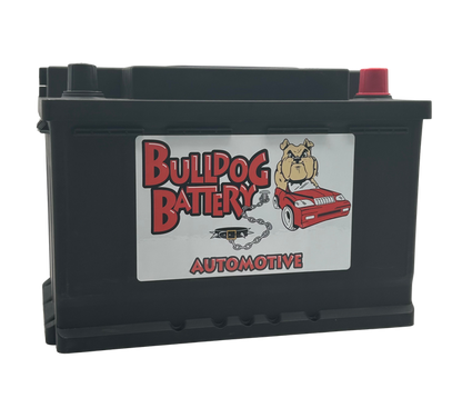 Bulldog Battery Group 48-72 Battery, 650 CCA, 6-Year Warranty