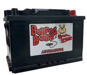 Bulldog Battery Group 48 AGM Battery - 660CCA, 6 Yr Warranty, AGM-48 (LN3 H-6)