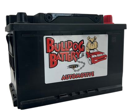 Bulldog Battery Group 48 AGM Battery - 660CCA, 6 Yr Warranty, AGM-48 (LN3 H-6)