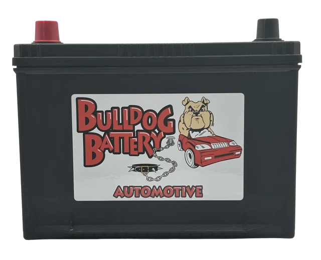 Bulldog Battery Group 34 550 CCA Flooded Lead Acid Automotive Battery - 5 Year Warranty