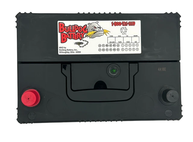 Bulldog Battery Group 24 525 CCA Flooded Lead Acid Automotive Battery - 5 Year Warranty