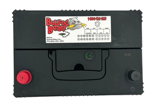 Bulldog Battery Group 24 525 CCA Flooded Lead Acid Automotive Battery - 5 Year Warranty