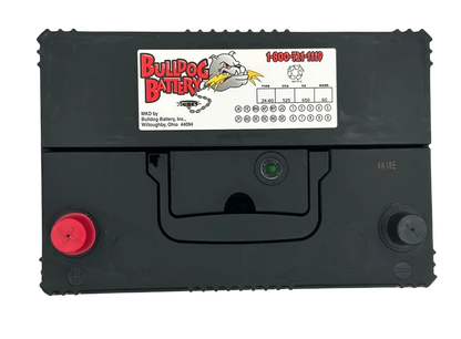 Bulldog Battery Group 24 525 CCA Flooded Lead Acid Automotive Battery - 5 Year Warranty