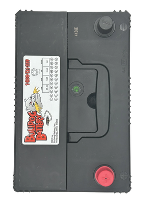 Bulldog Battery Group 34 550 CCA Flooded Lead Acid Automotive Battery - 5 Year Warranty