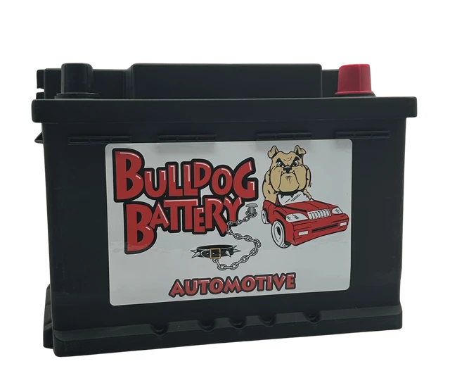 Bulldog Battery Group 90-60 600 CCA Flooded Lead Acid Automotive Battery - 5 Year Warranty