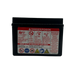 Yuasa YTZ5S Battery, 12V 65 CCA, 1 Year Warranty