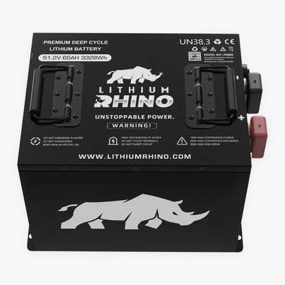 Lithium Rhino LR51V65AH 48V 65Ah lithium golf cart battery conversion kit battery, angled view from above