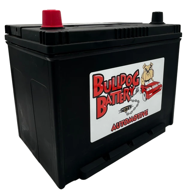 Bulldog Battery Group 24 525 CCA Flooded Lead Acid Automotive Battery - 5 Year Warranty