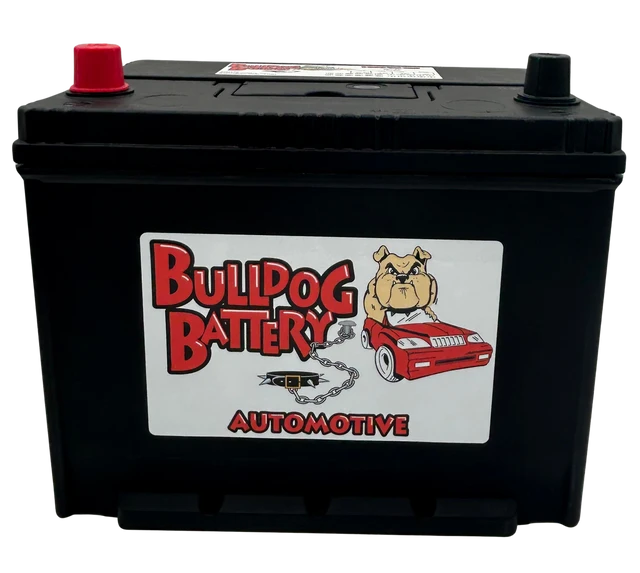 Bulldog Battery Group 24 525 CCA Flooded Lead Acid Automotive Battery - 5 Year Warranty