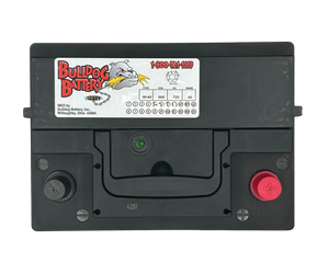 Bulldog Battery Group 90-60 600 CCA Flooded Lead Acid Automotive Battery - 5 Year Warranty